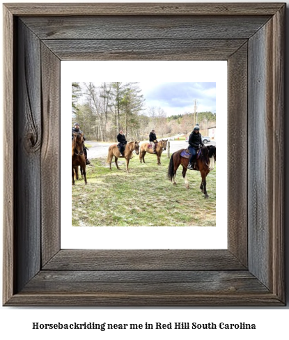 horseback riding near me in Red Hill, South Carolina